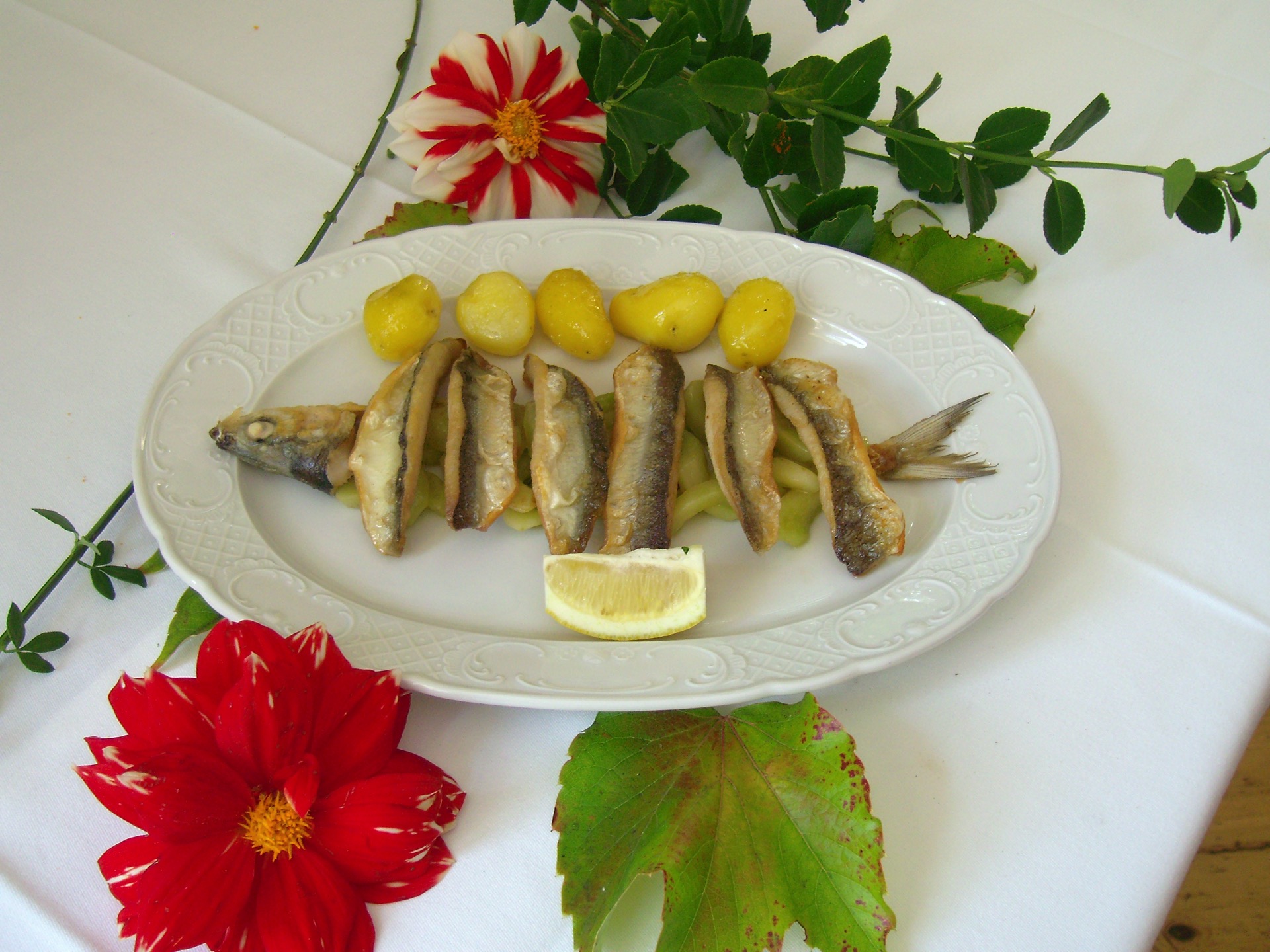 Gebratener Fisch in Stücken mit Salzkartoffeln, Gurkengemüse und Zitrone auf ovaler Platte im Hotel Schloss Storkau