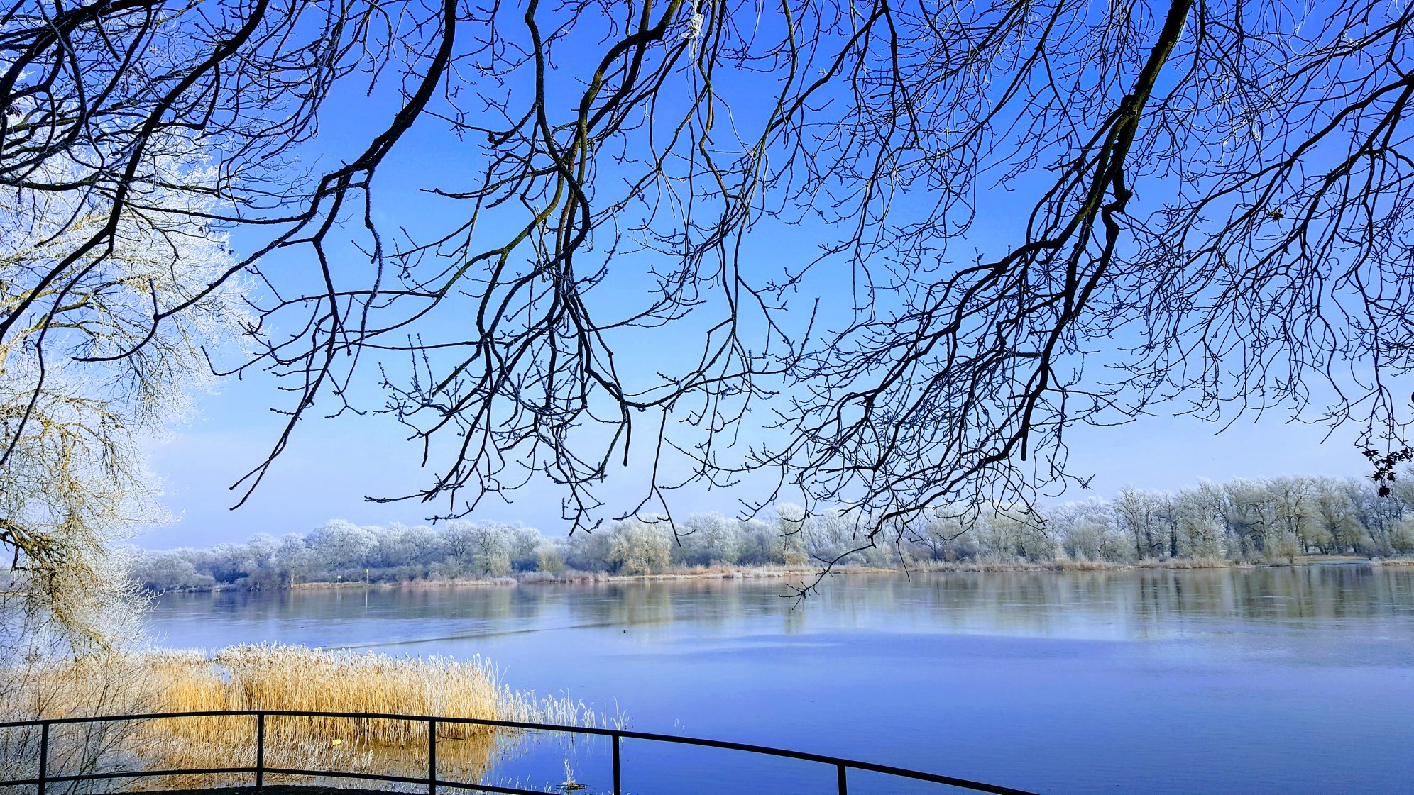 Winterlicher Blick vom Schlosspark des Hotel Schloss Storkau über das Geländer auf die Elbe, gerahmt von raureifbedeckten Ästen