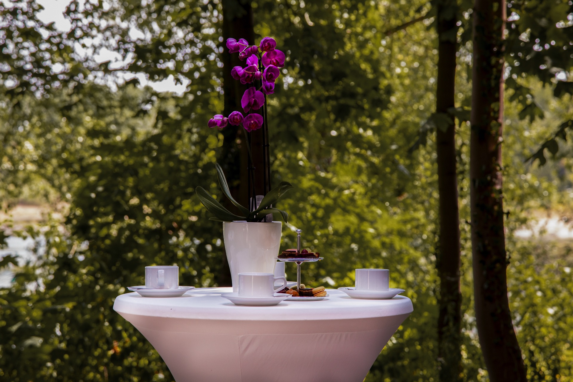 Weiß eingedeckter Stehtisch mit lila Orchidee, Kaffeetassen und einer Etagere mit Gebäck im Freien vor grünen Bäumen am Wasser.
