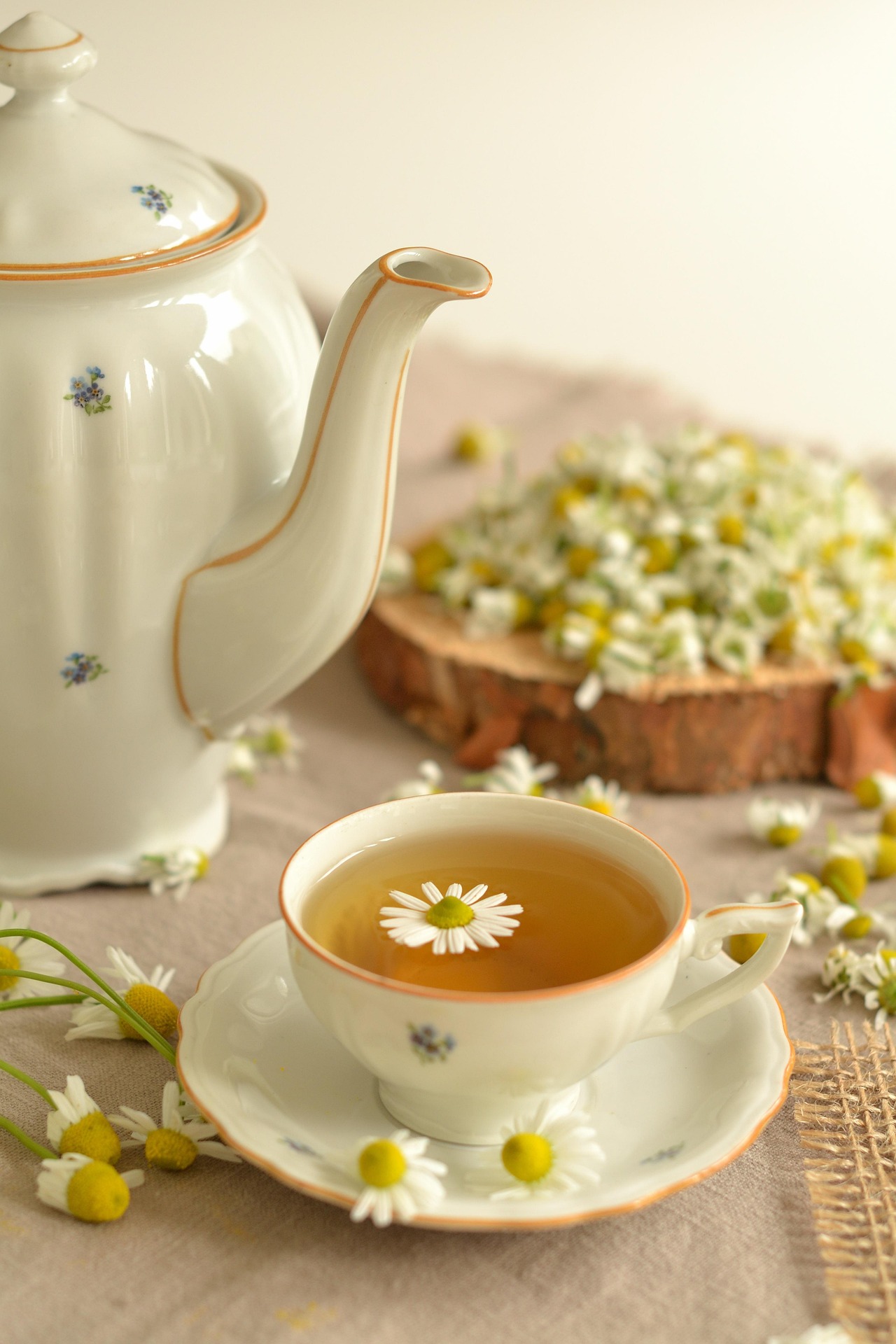 Kamillentee mit frischen Blüten Tasse Kamillentee mit schwimmender Kamillenblüte, dahinter eine weiße Porzellankanne und frische Kamillenblüten