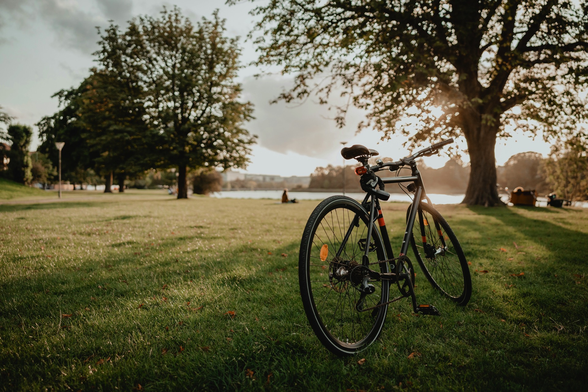 Schwarzes Fahrrad steht am Abend auf einer Wiese unter großen Bäumen an einem Gewässer