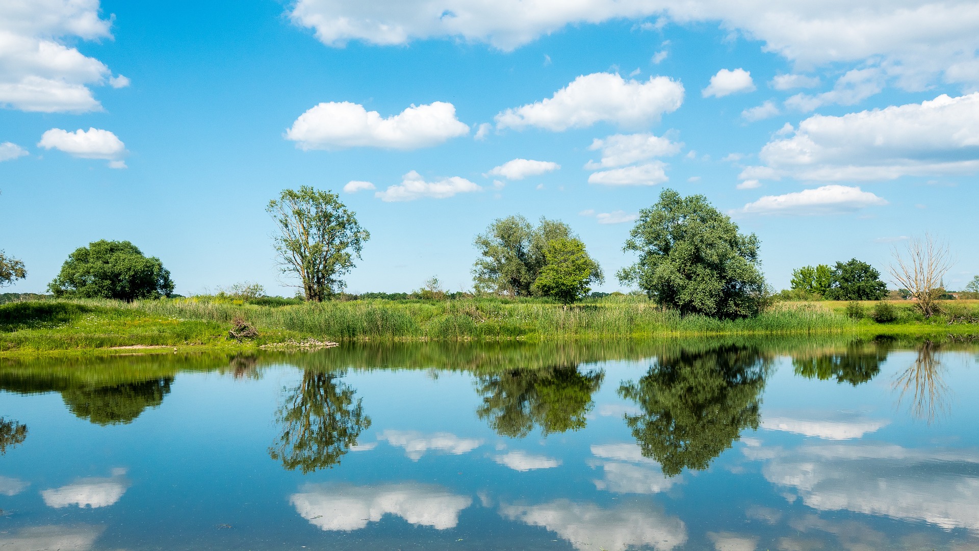 Flusslandschaft an der Elbe mit Bäumen und Wolken, die sich im ruhigen Wasser spiegeln