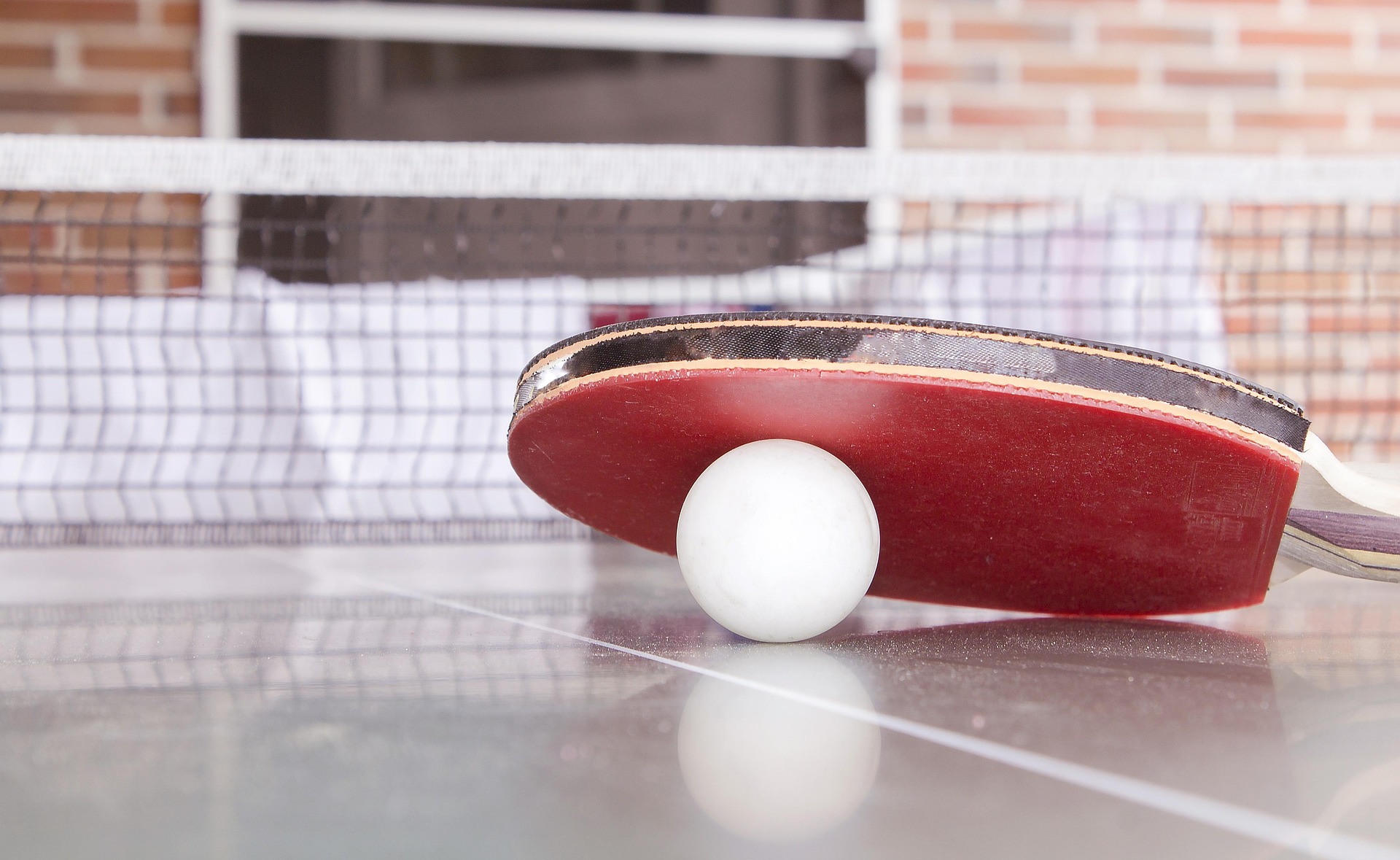 Tischtennisschläger mit Ball Roter Tischtennisschläger liegt auf einem weißen Ball an der Netzkante einer Tischtennisplatte