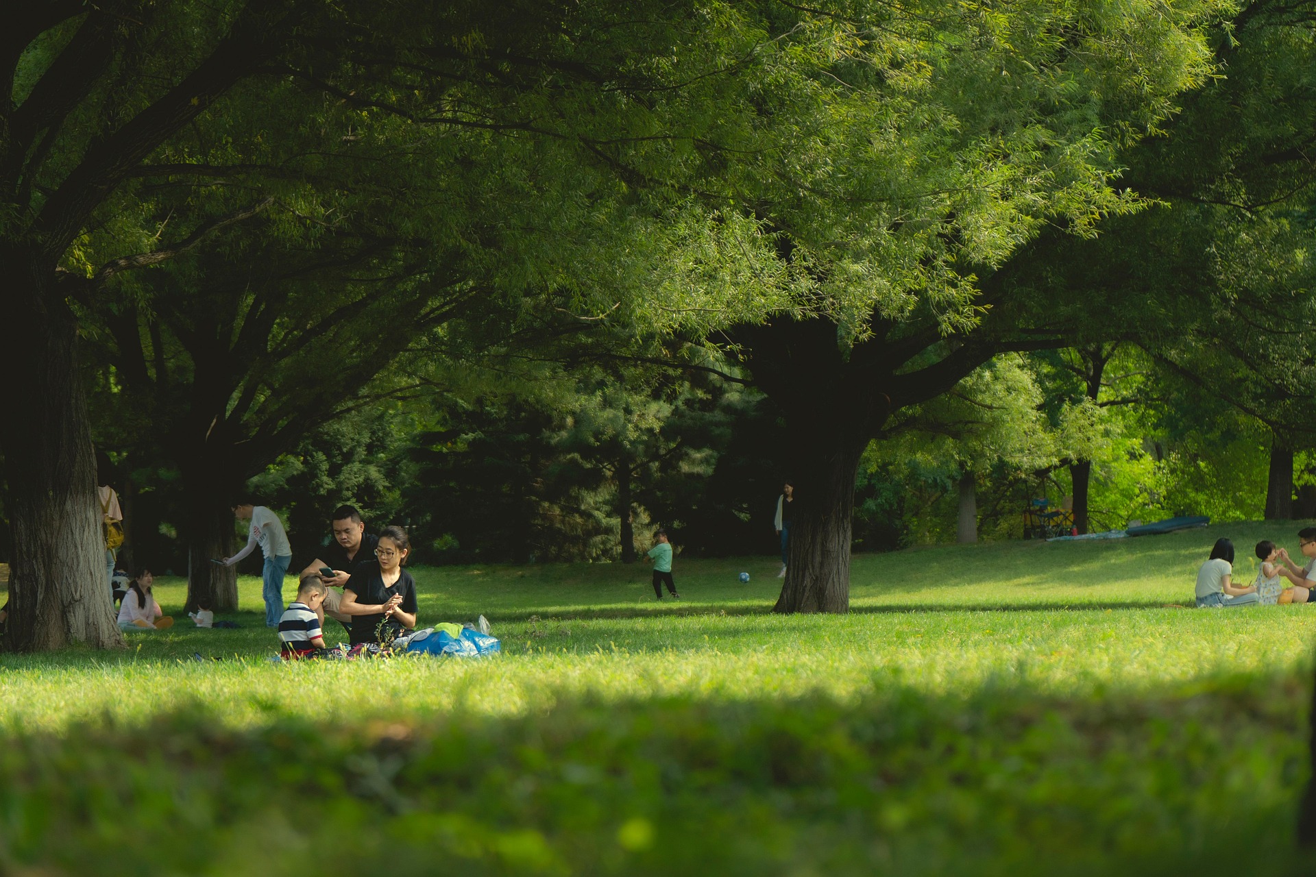 Familien picknicken auf einer grünen Wiese im Schatten großer Bäume