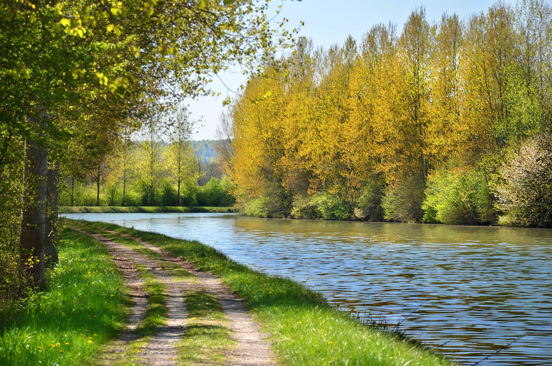 Von Bäumen gesäumter Wasserlauf mit unbefestigtem Uferweg im Frühlingslicht